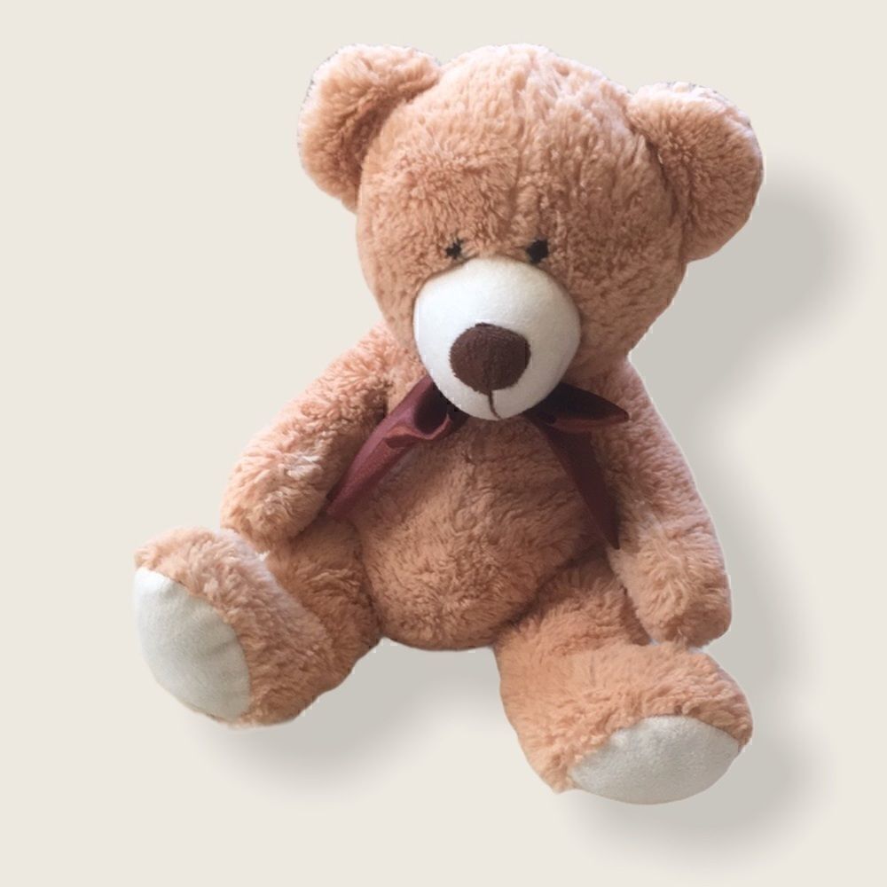 Soft Medium Sized Teddy Bear